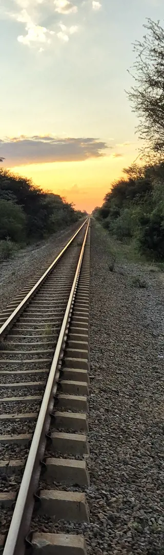 Ungewöhliche Weiterreise im Elephant Express